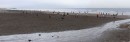 Casablanca Beach Pano * A panoramic view of the beach in Casablanca, just off the Corniche. * 720 x 236 * (53KB)